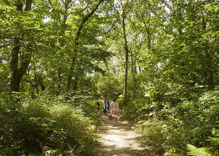 Maison A 350m De La Pour 6 A St Brevin Saint-Brevin-les-Pins